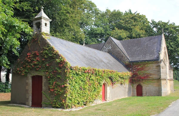 Photographie réaliste en haute résolution d'un intérieur de cuisine complètement rénovée par TRENOV, montrant des éléments de finition de qualité (plan de travail moderne, électroménager intégré, peinture fraîche, éclairage contemporain, et détails de menuiserie soignée). La scène doit illustrer le savoir-faire de TRENOV en pose de cuisines sur mesure et finitions intérieures, en environnement résidentiel breton typique, sans personnages, sans texte ni logo visible.